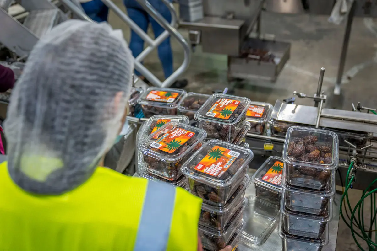 A worker checking packaged food trays on a production line